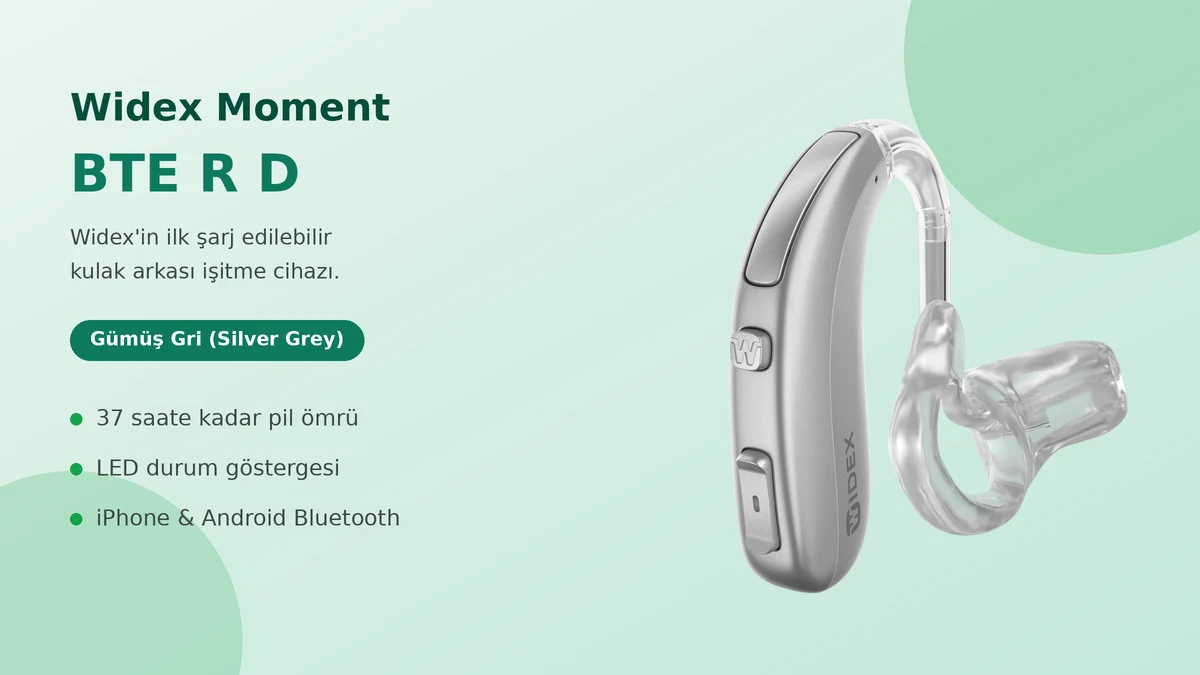 Widex Moment BTE R D şarjlı kulak arkası işitme cihazı Gümüş Gri rengi ve kulak kalıbı